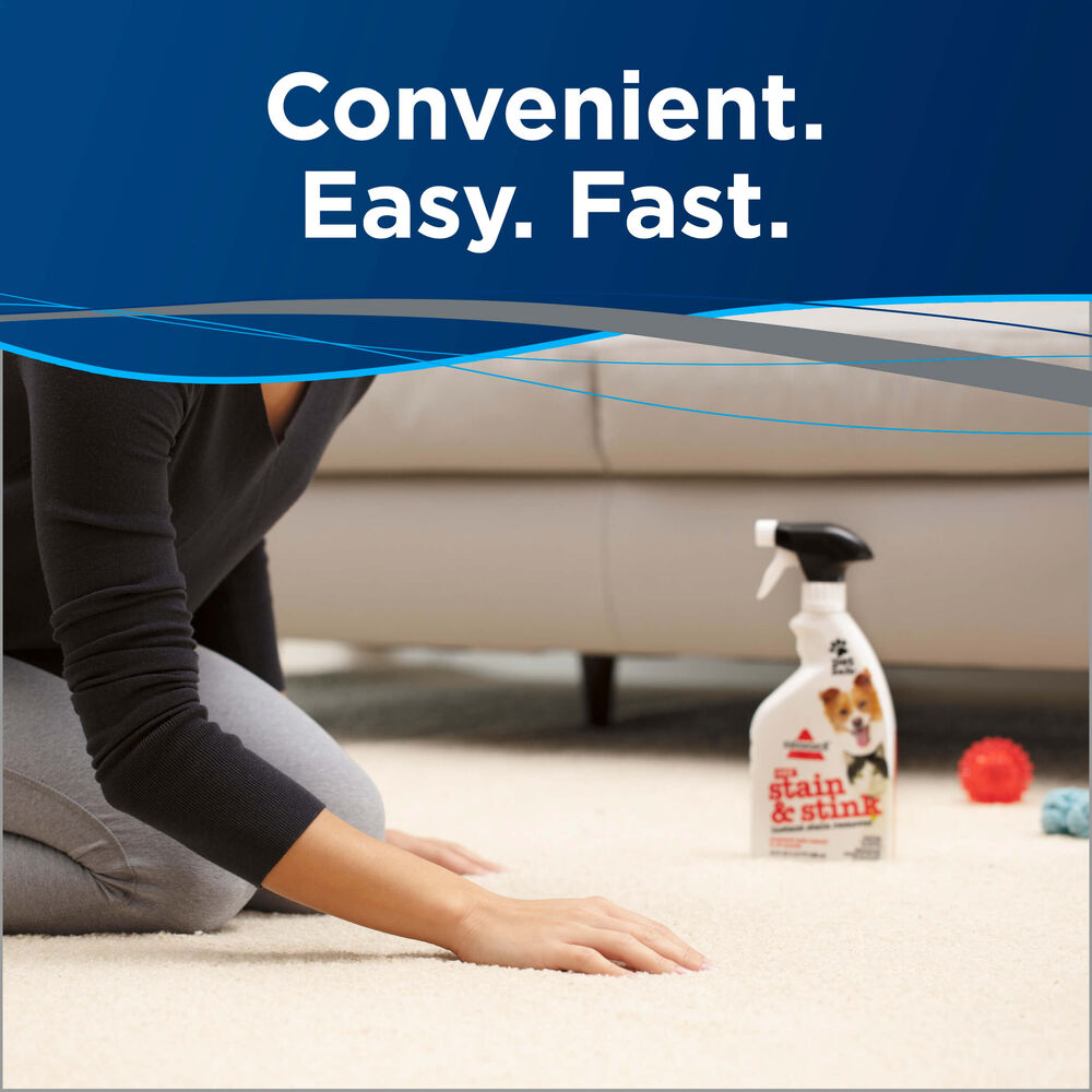 Stain & Stink Instant Stain Remover 1921 BISSELL Formulas